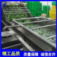 果蔬加工设备油菜菠菜圣女果清洗机 舜德立气泡清洗流水线