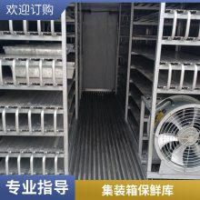 集装箱速冻库 移动全套制冷设备一站式 承接大中型冷库项目