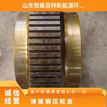 宇龙轴承钢颗粒机压轮皮 560压辊壳 可定做 材质65锰钢