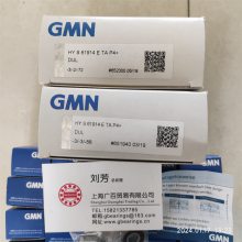 德国GMN轴承销售 HYSH6014CTAP4+DUL轴承 GMN单向轴承密封件