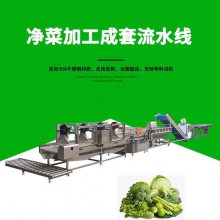 学生营养餐蔬菜加工流水线，果蔬加工设备，食堂净菜加工生产线