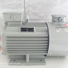 上 海德东电机厂 YVF2-90S-6 0.75KW B3 变频调速电机