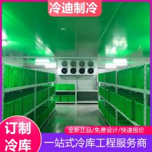 医药冷库 医疗器械冷藏库建造 一备一用制冷设备 冷迪制冷