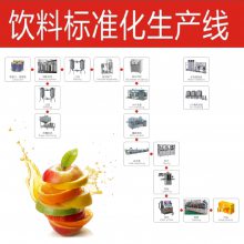 饮料标准化生产线 椰子饮料加工成套设备 酒全套生产线